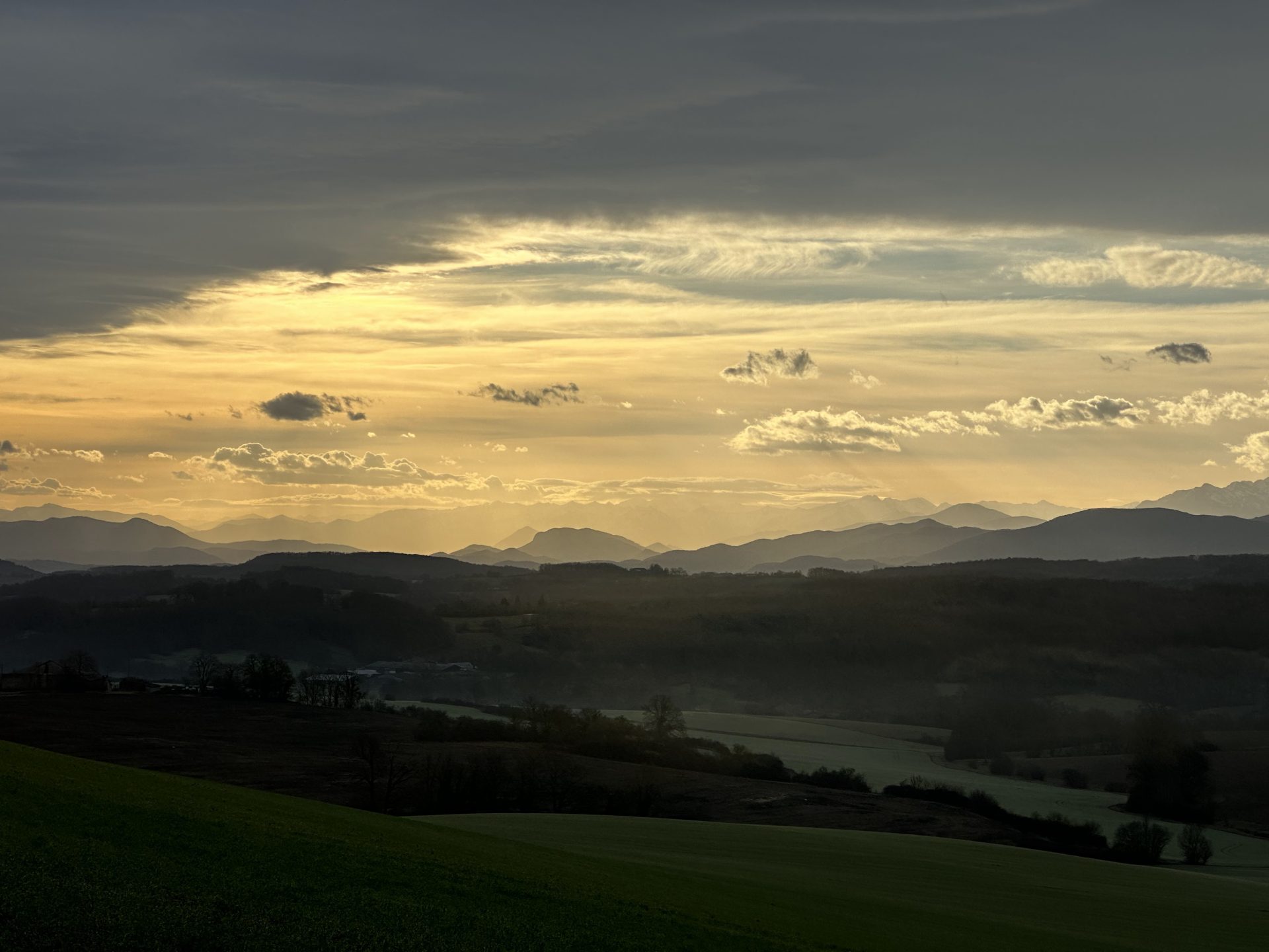 Entretien d’espaces extérieurs en Haute-Garonne