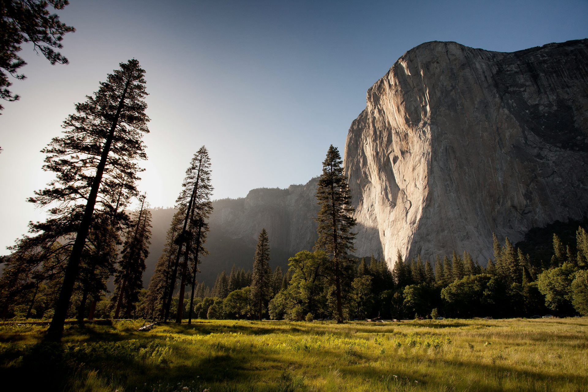 Photographie emblématique d'arbres près d'une montagne rocheuse sous un ciel bleu en journée